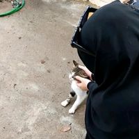 tik_noor24