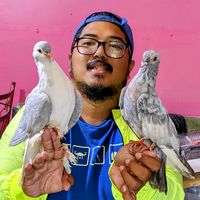 original sound - Fernando Pradhana