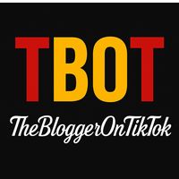thebloggerontiktok