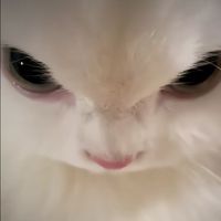 オリジナル楽曲 - うる二郎