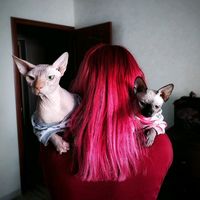 sphinx_anubis