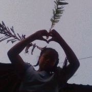 les.te15