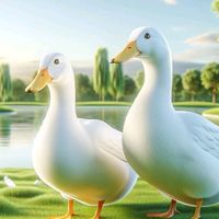 couple_couple_travel