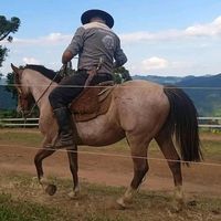 elieserrodrigues72