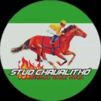 studchavalitho