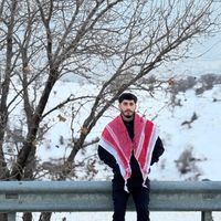 sedad_hajani