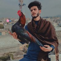 abdullrehman0009