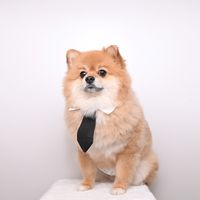 bearingmecute