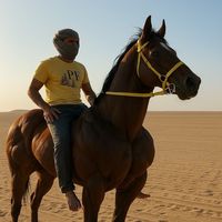 الصوت الأصلي