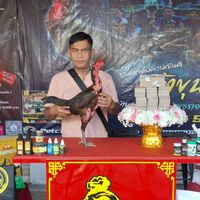 pppp07102535