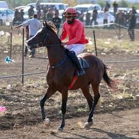 الصوت الأصلي