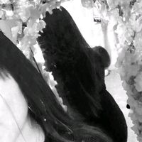 zuleimi13