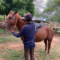 nego_joao_offc