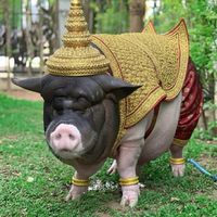 khunphaen_channel