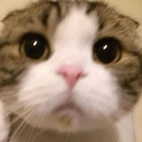justwhatifeelinside