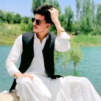 b.n.niazi