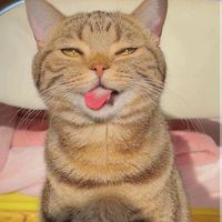 aye.khaing9592