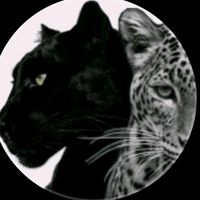 nkhi2mn