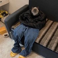 оригинальный звук