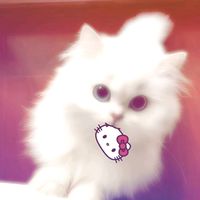 .nami_pamiuoi