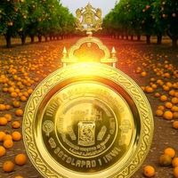 soloznasni