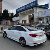 necefov443