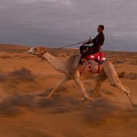 الصوت الأصلي