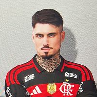 gui_areda02