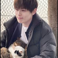 오리지널 사운드 - 담담