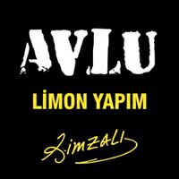 avlu.dizii
