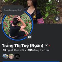 nhạc nền - Fb: Tráng Thị Tuệ