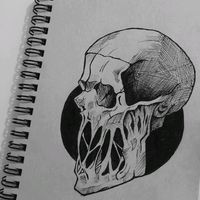 jui0r