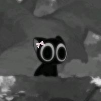 dryzinha.op