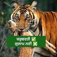 nishansingh062