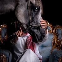 الصوت الأصلي