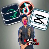 easin_3.0
