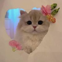 เสียงต้นฉบับ - แองจี้ซีแคท💐