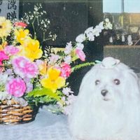 オリジナル楽曲 - 秋田のジィ