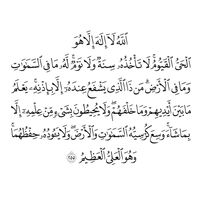 user4817156110492