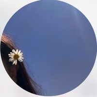 buttblogs