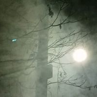 suara asli - ×͜×     zazi     亗