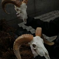 оригинальный звук