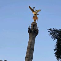 javierruiz436