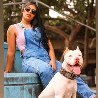 jo_tubarao