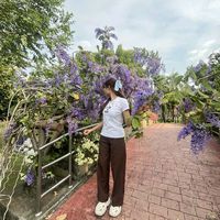 เสียงต้นฉบับ