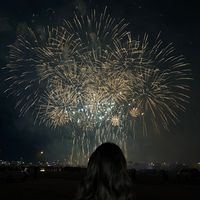una.vidaa