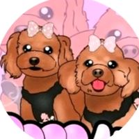 coco.natsu.mama
