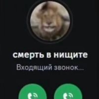 softssxxk