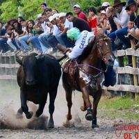 kevin_felipe_castillo