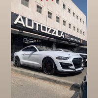 adi_nassar